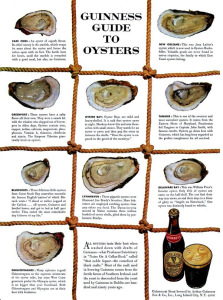 Guinness Guide to Oysters Print Marketing Collateral
