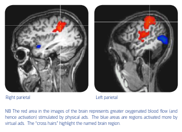 Brain scan of print marketing affecting brain activity